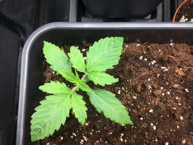 E0650258-3B69-4200-BEC7-46B0940C497B