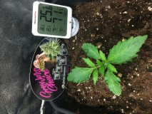 7C7842A7-A0B2-4547-9E62-DCF5FE0E6402