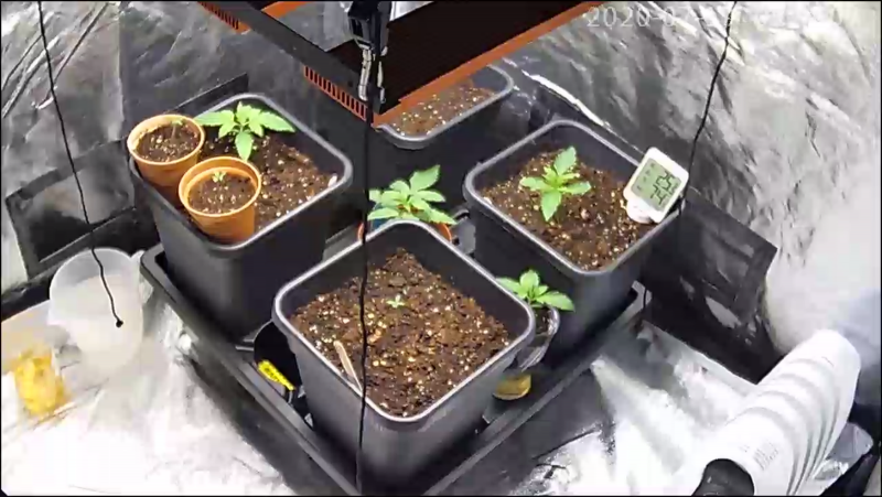 B842F49D-CD67-4F2E-B2C3-2D4CC79FBC4B