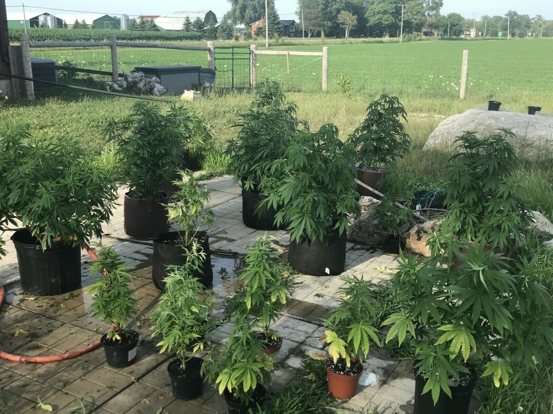 974C8E15-8B10-43B0-A2B5-3A0AE14F1A6D