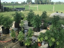 974C8E15-8B10-43B0-A2B5-3A0AE14F1A6D