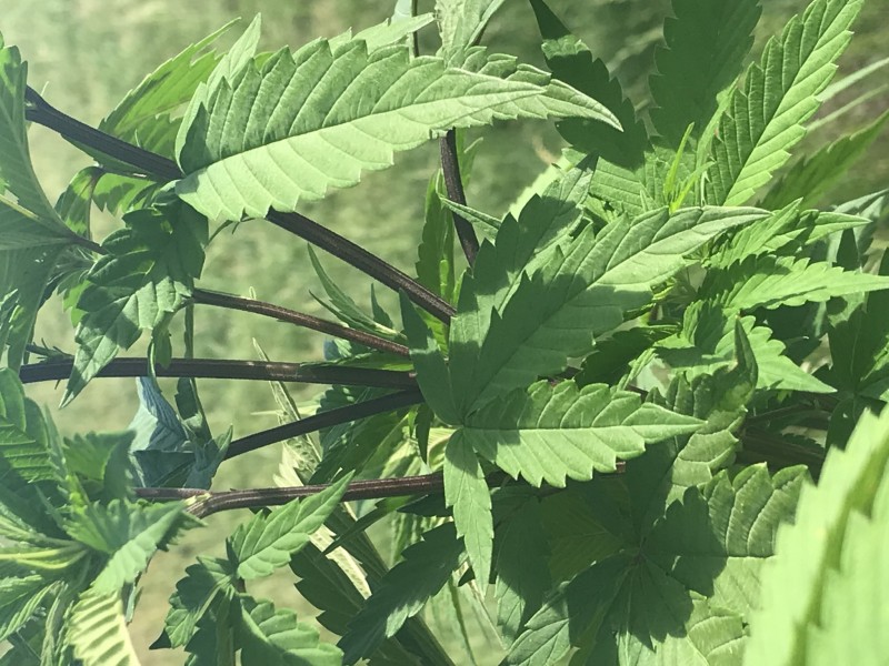 73F6E3DE-3301-4099-9F73-850ABFF604D2