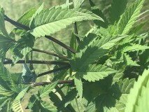 73F6E3DE-3301-4099-9F73-850ABFF604D2