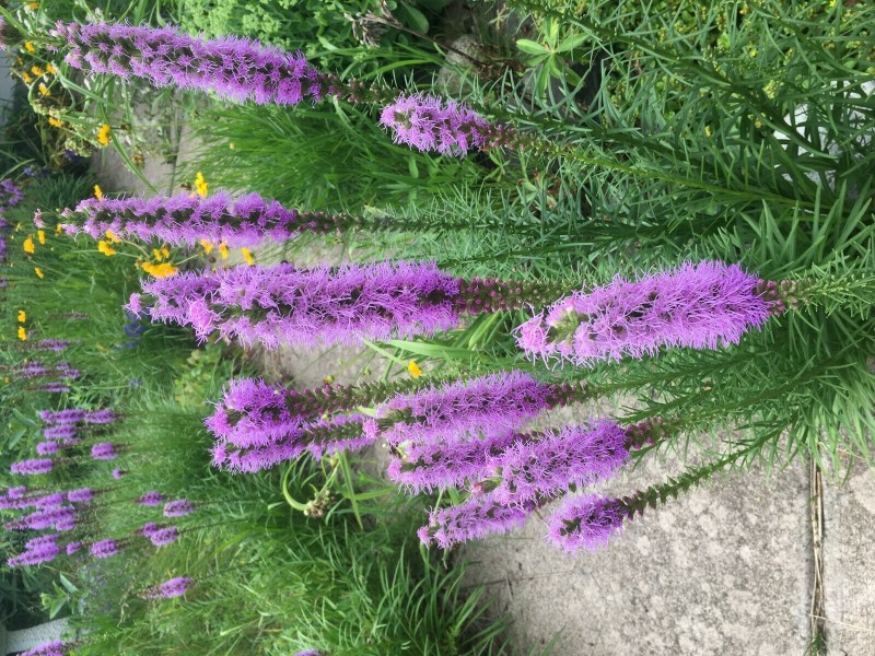 514036C1-8552-4208-B399-466A45CE11ED