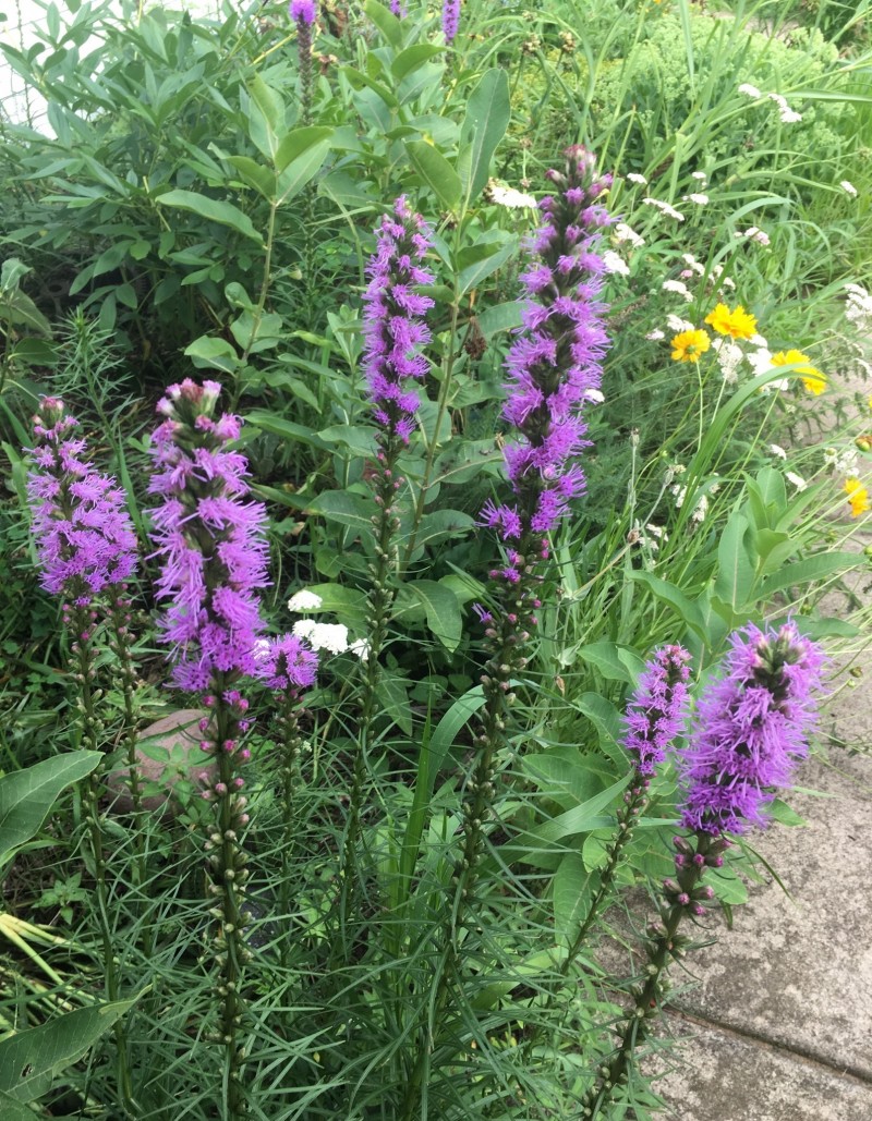 BA8E34D1-BA03-4063-91A9-40AB3AD135B8