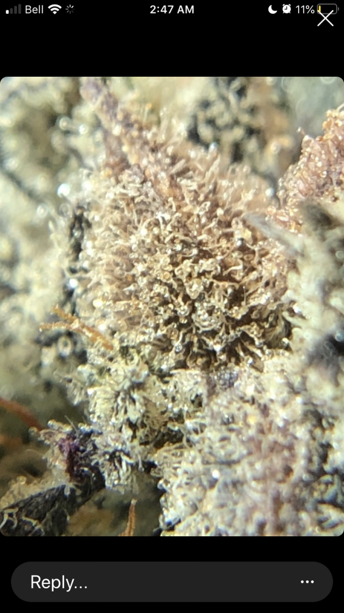 A1A723DE-B43D-456E-B924-0B3C0886F614