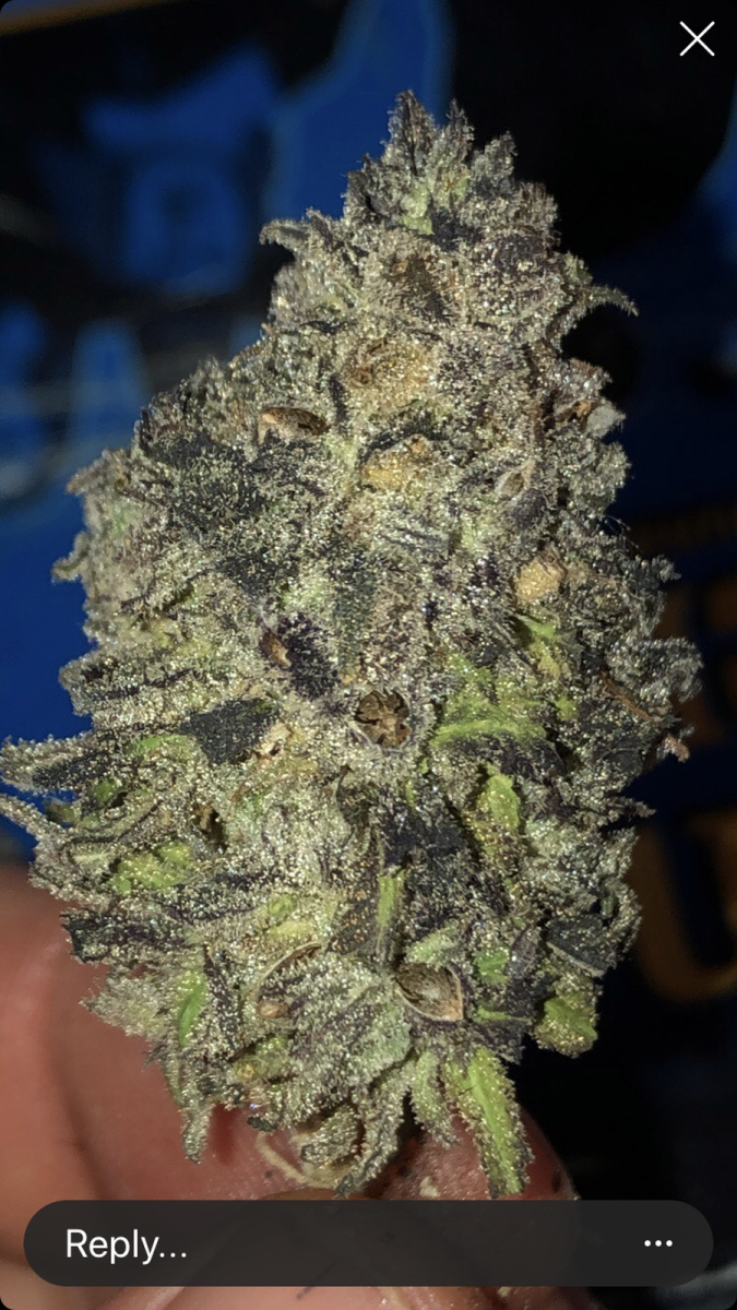 4448F3B4-D786-460A-9DAA-654AE54B2720