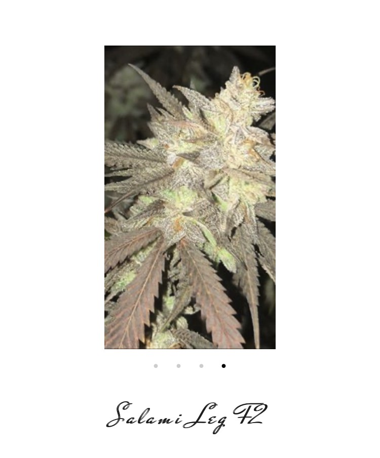 33F173E8-D6D6-4723-AB2E-70F4AA5DA3AA