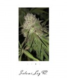 66ACF4F8-E14C-4C5D-B175-D78B54E978BB