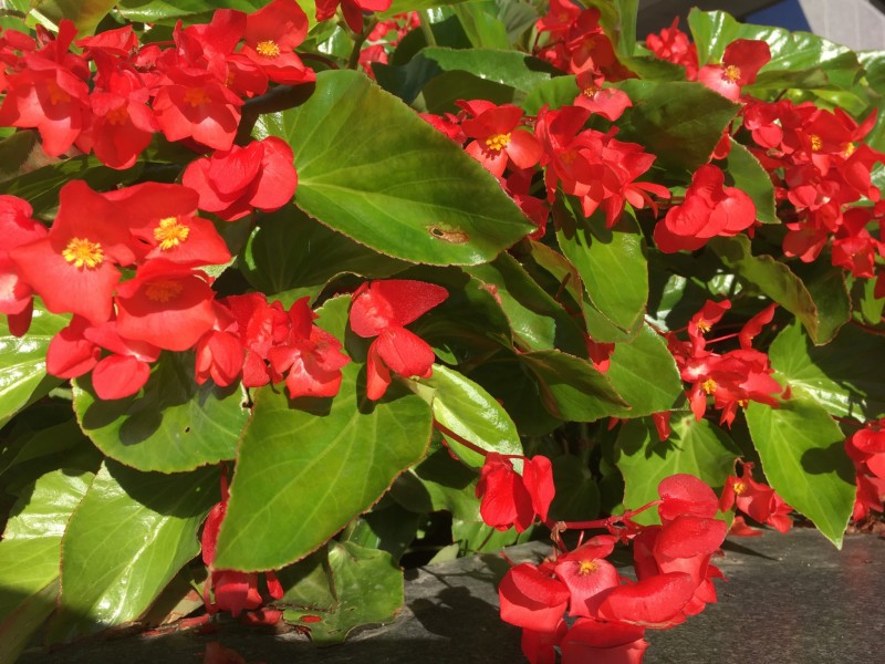 A2C9479E-8FBA-4F64-9FE1-BD6AF171935E