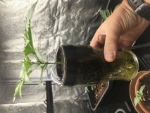 CBFBEDF7-DA77-47D9-B6DE-0DF3203F1B2F