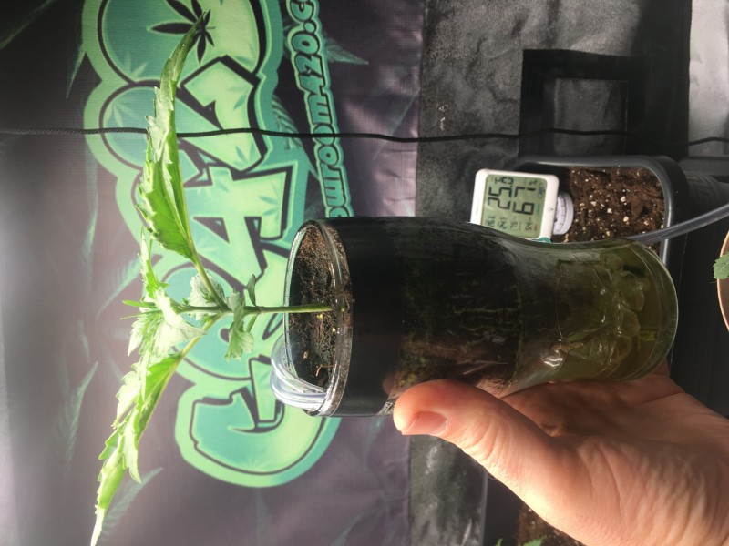 9D300C3E-D5CD-47DE-BB00-3C371CDA57DD