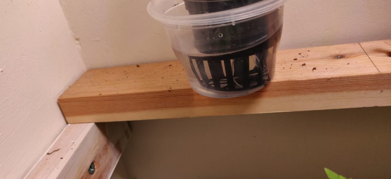 47cc567b-1a4c-43d3-b668-57217458dd35