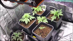 2923088C-41EC-4661-A99E-4A2CF548D5B7