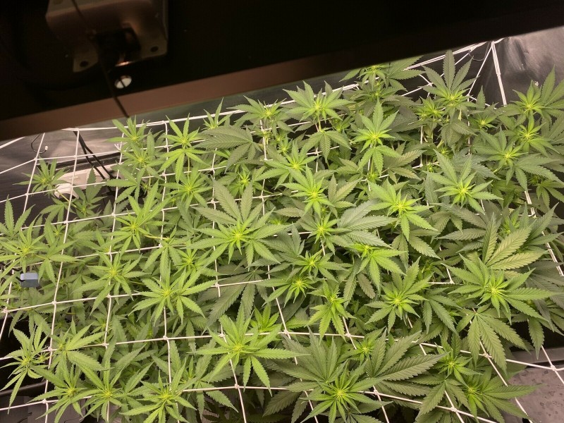 20BF767E-E31E-493D-AC10-A2D4CBDE7F30