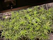 20BF767E-E31E-493D-AC10-A2D4CBDE7F30