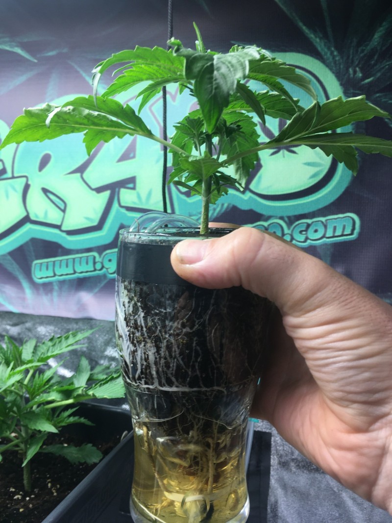 314E1301-FF1E-44AD-B0E0-89C480E77A71