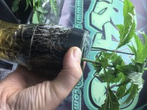 076E90C4-CC63-4500-8311-5001C25FA854