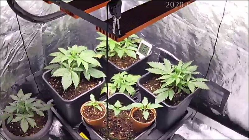 6B07E5C3-6498-4E4F-BC6D-8A71B2609CFE