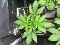 32E9A6D5-D5F8-49F8-B890-CFD7AD4CA867