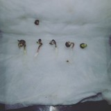 IMG_20200724_093450_903