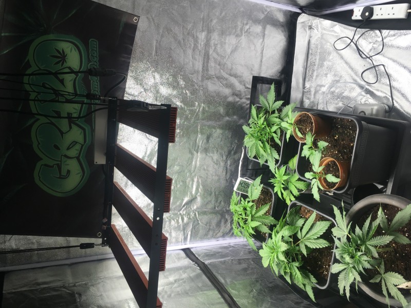 D30F2525-0F15-4B9B-951C-CB09E43CAE2B