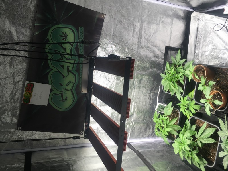 2ED5B698-7C0A-48E9-B264-AB186017FC68