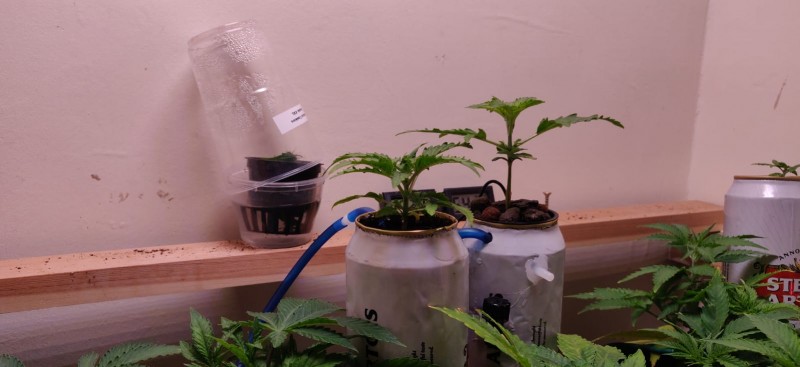 36a6a006-0651-4c1d-994d-7b714f700f1e