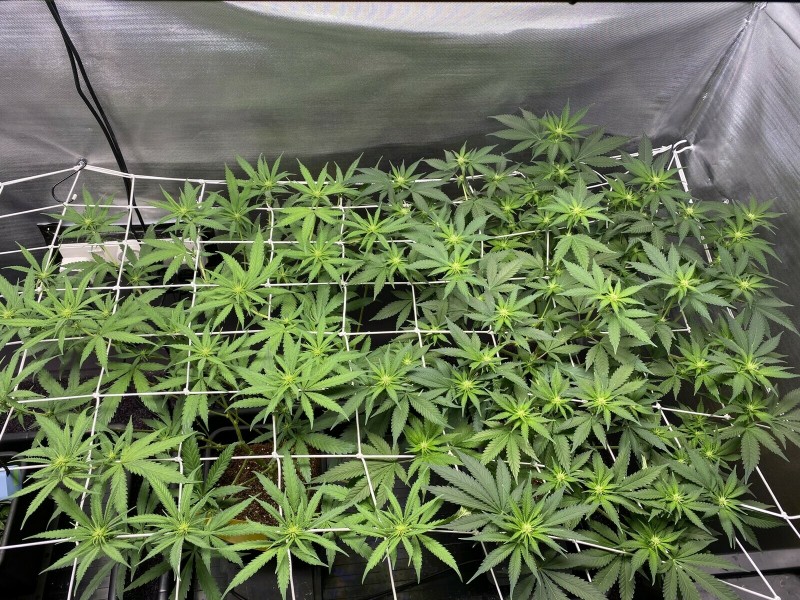 00A236C8-EF0E-4A17-926B-DAC2ABFED63A