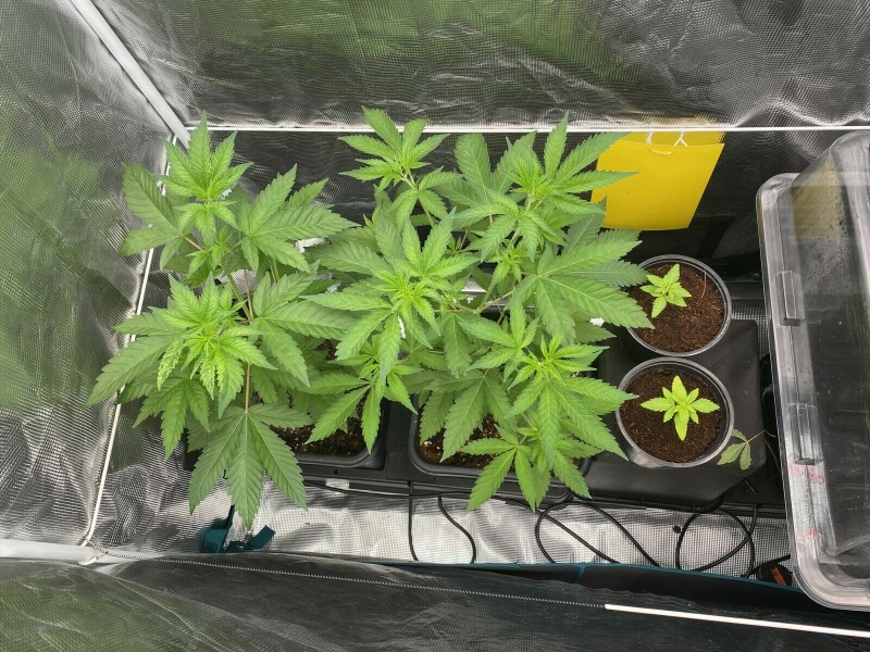 976997B8-C570-4F85-B604-5FE80DEE02B0