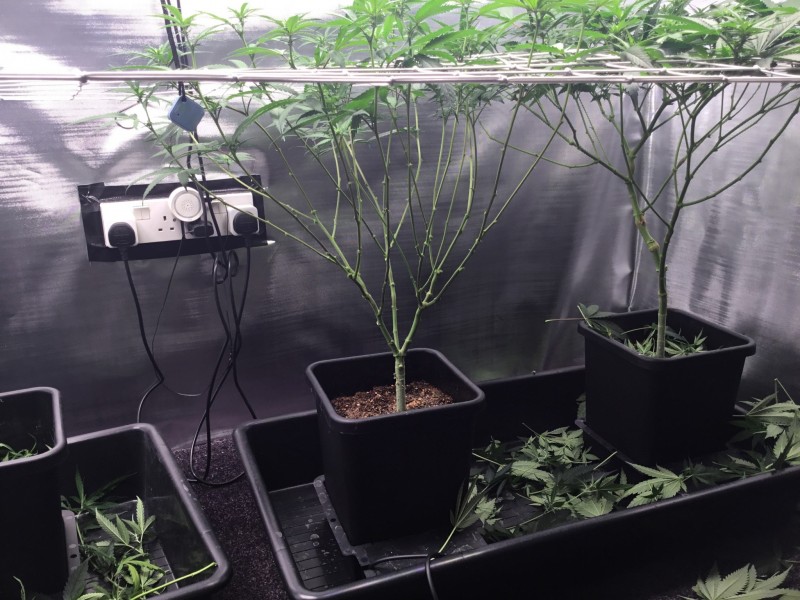 425A1755-E8DE-472C-9E29-C098B41C480D