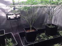 425A1755-E8DE-472C-9E29-C098B41C480D