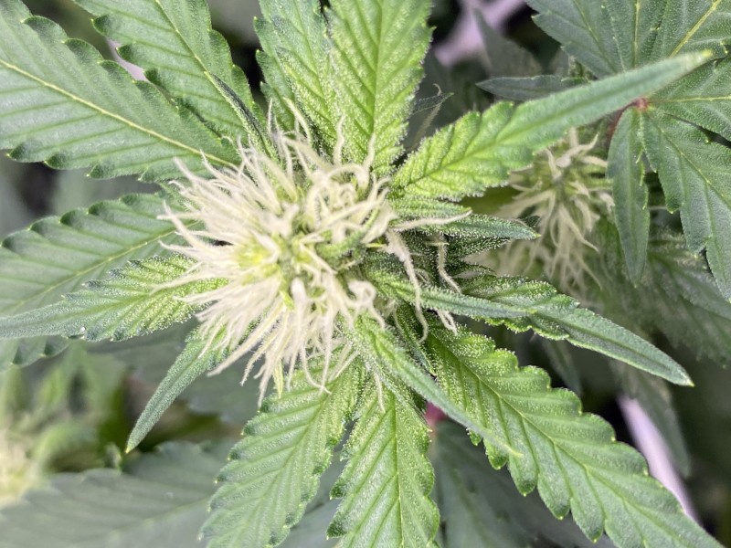 65D3FF1A-BD87-4236-8437-B693140CDD11