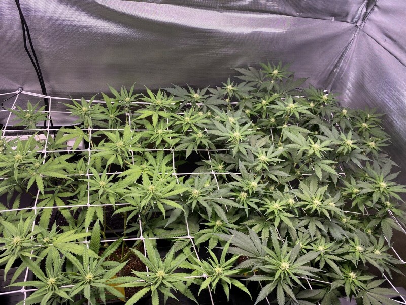 307C8B75-3F12-43AB-8E5D-F0B044A2DBB6