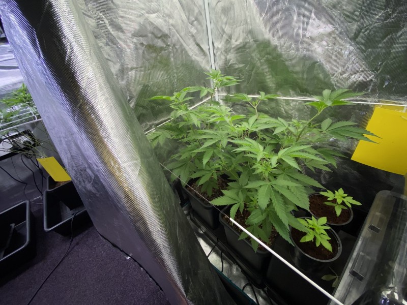 1EFA53C4-371A-4F59-A680-FF53D8ABA592