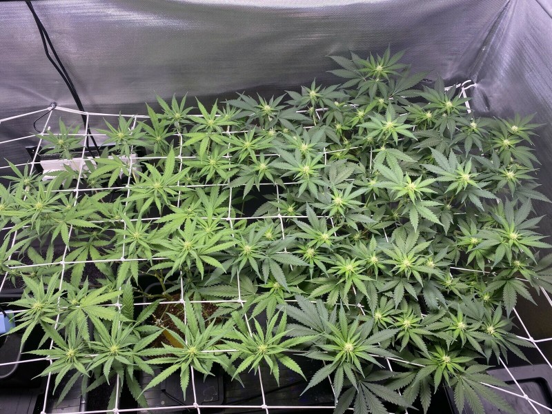 F20B7F84-BF87-42FC-AD2F-59144A514C4C