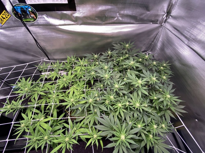 BBF28D90-9FD3-4810-A416-7B0EC2CE0629