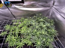 BBF28D90-9FD3-4810-A416-7B0EC2CE0629