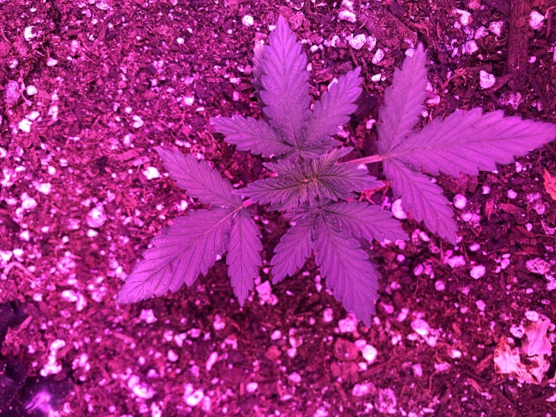 069B7465-9B4B-4D11-AB8E-6761AC3E6633