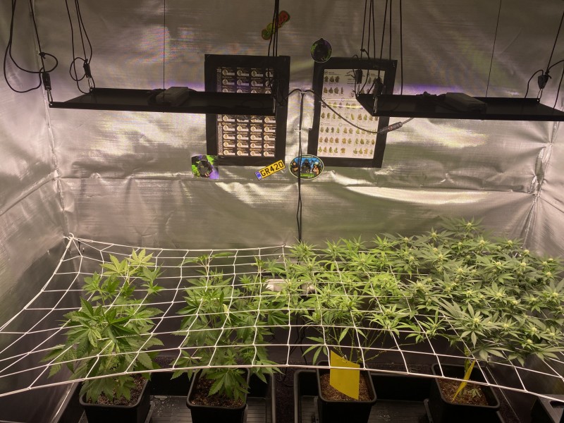 0180902F-23B9-4DF0-9246-11A22A047B62