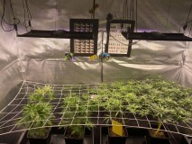 0180902F-23B9-4DF0-9246-11A22A047B62