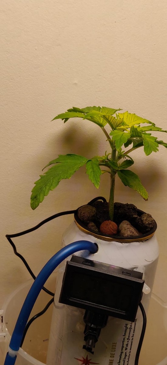 de940315-ecba-44a0-b103-f72fa46cdb6a