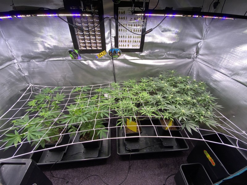 9AD83C05-5415-4FFB-A617-0B4F1FF75C6B