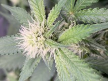 310ED85D-F0EE-4F0F-B67A-99F03408A265