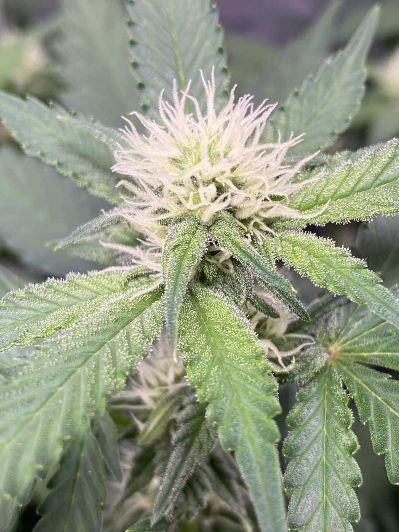 71B817A3-E16B-4D3A-8733-C209D963B463