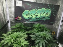 3E19B6A2-48AD-4777-B6F3-C265050ED4B8