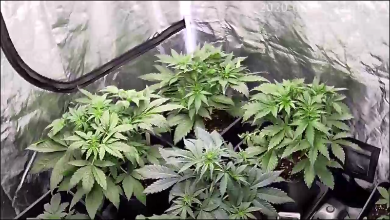 DD68163E-0D3F-462C-9EA8-BE7E5928E39D