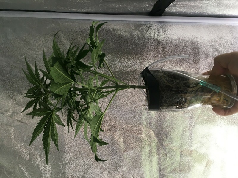 59D9B081-4317-4CBE-857E-0714D2BBF61E