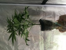 59D9B081-4317-4CBE-857E-0714D2BBF61E