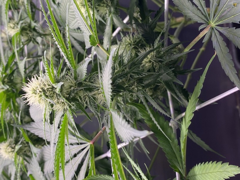 63575F40-AB15-4C5B-95FF-E1B941B6F449